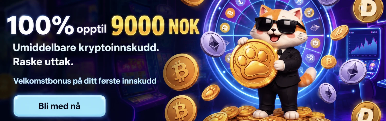 Promotional Banner